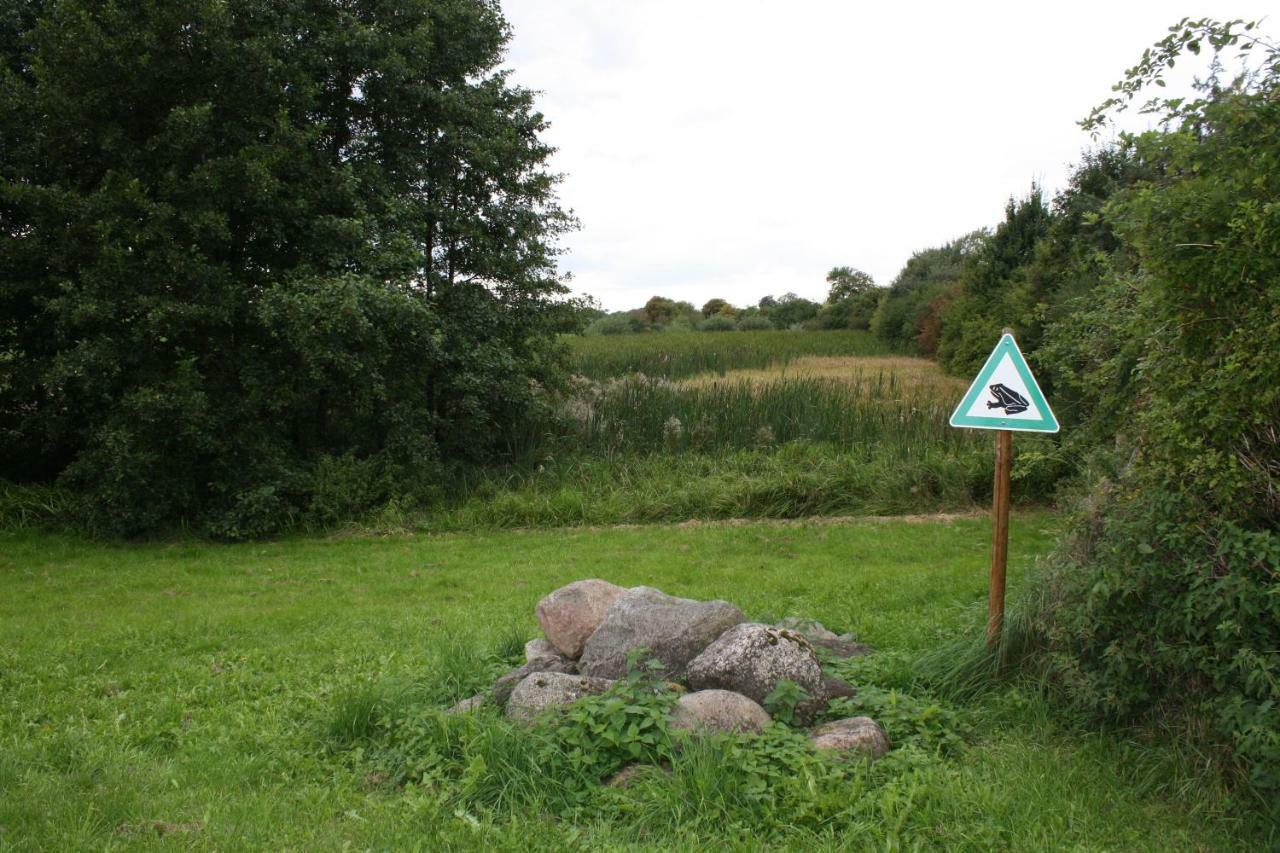Landpension Zum Schweizerberg Neugrimnitz المظهر الخارجي الصورة