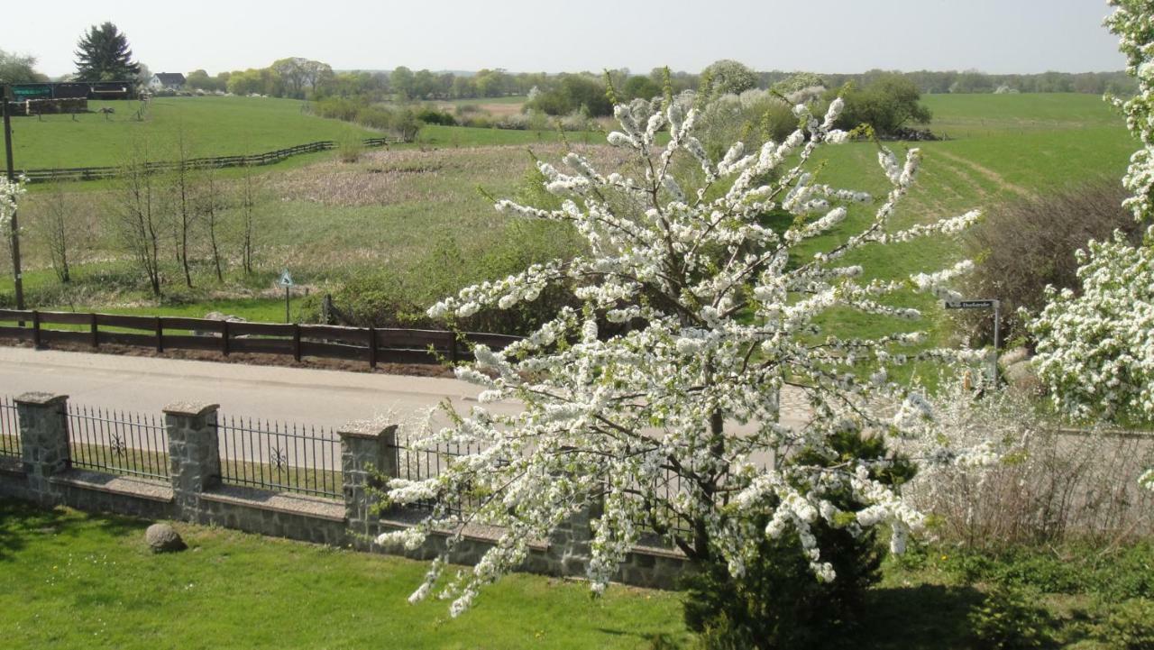 Landpension Zum Schweizerberg Neugrimnitz المظهر الخارجي الصورة